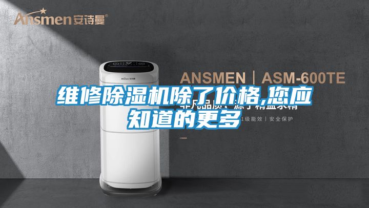 维修除湿机除了价格,您应知道的更多