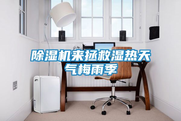 除湿机来拯救湿热天气梅雨季