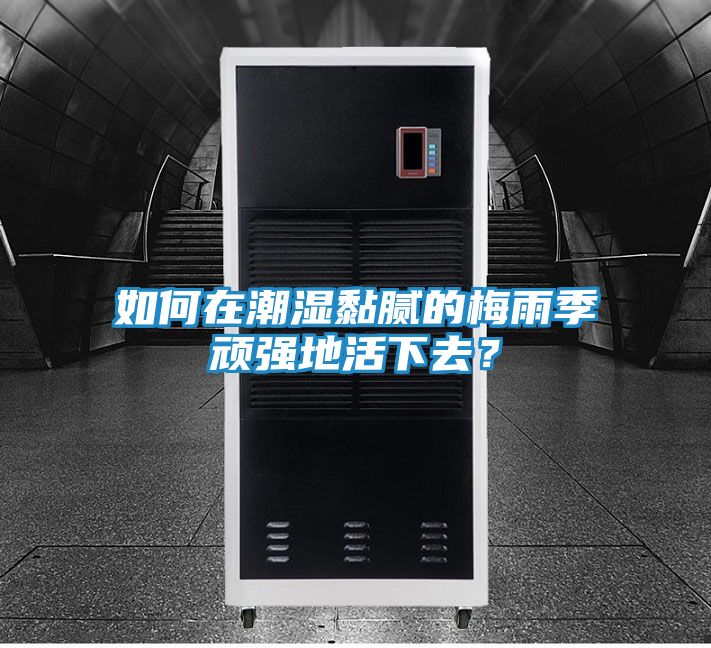 如何在潮湿黏腻的梅雨季顽强地活下去？