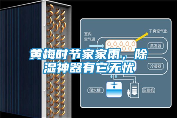 黄梅时节家家雨，除湿神器有它无忧