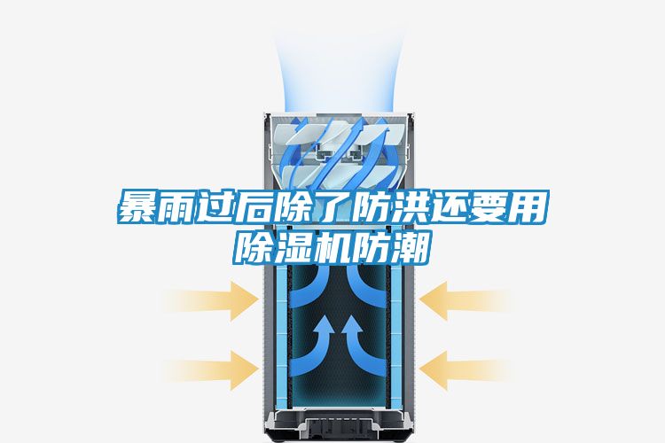 暴雨过后除了防洪还要用除湿机防潮