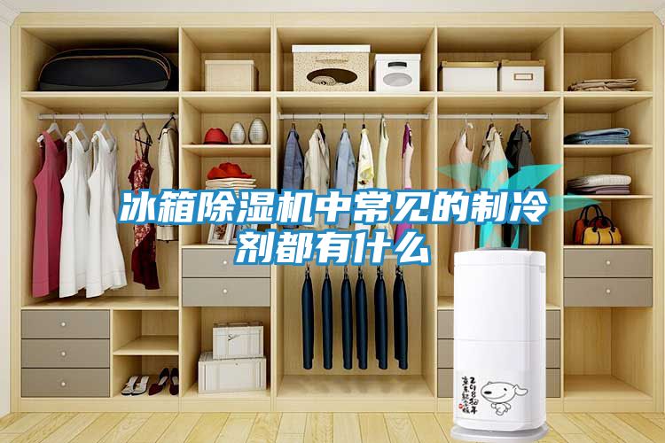 冰箱除湿机中常见的制冷剂都有什么