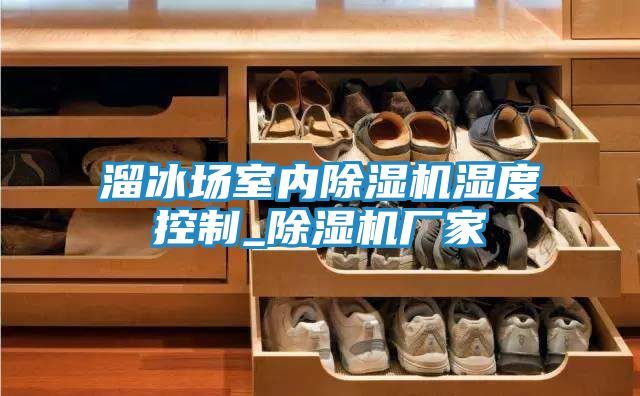溜冰场室内除湿机湿度控制_除湿机厂家