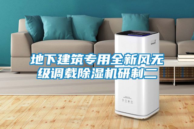 地下建筑专用全新风无级调载除湿机研制二