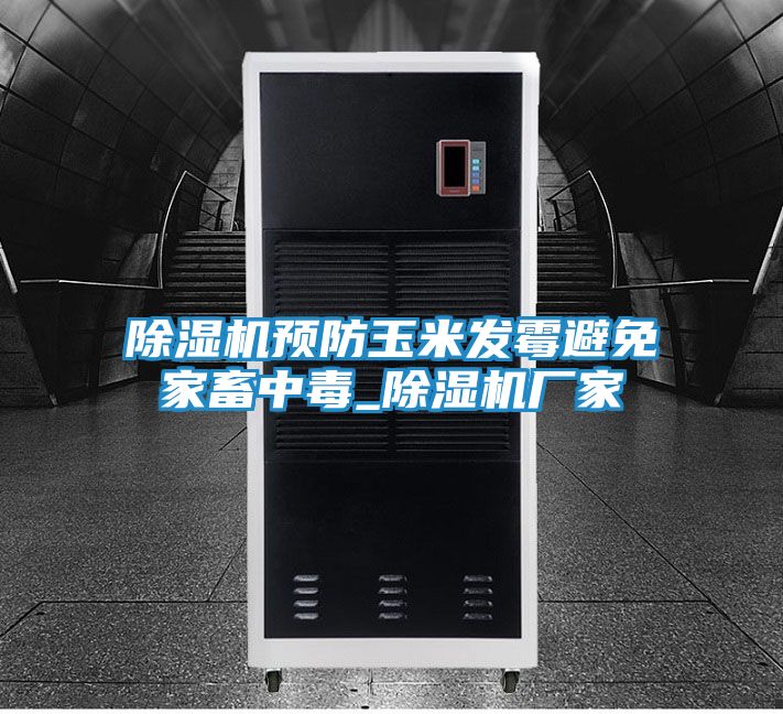 除湿机预防玉米发霉避免家畜中毒_除湿机厂家
