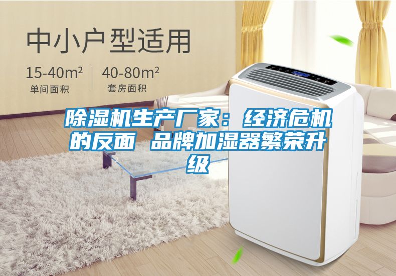 除湿机生产厂家：经济危机的反面 品牌加湿器繁荣升级
