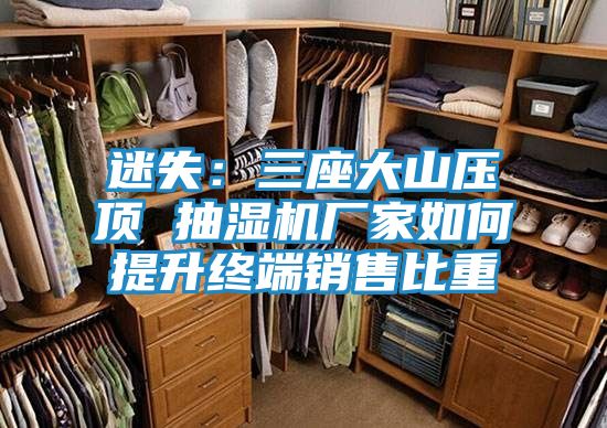 迷失：三座大山压顶 抽湿机厂家如何提升终端销售比重