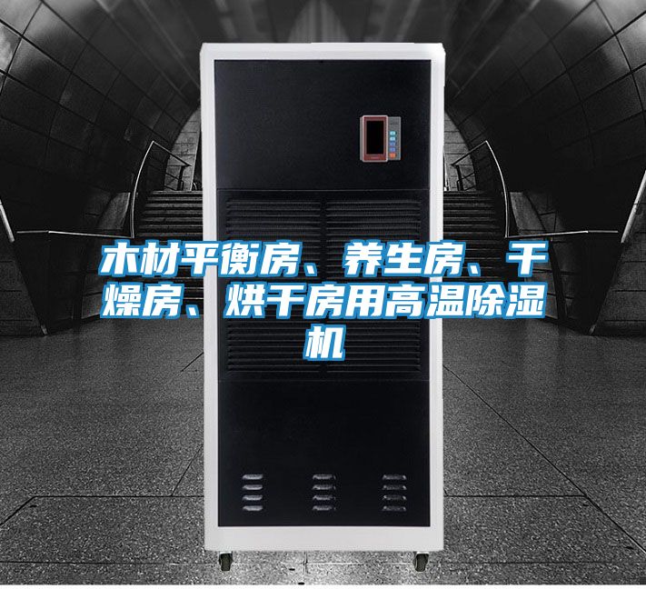 木材平衡房、养生房、干燥房、烘干房用高温除湿机