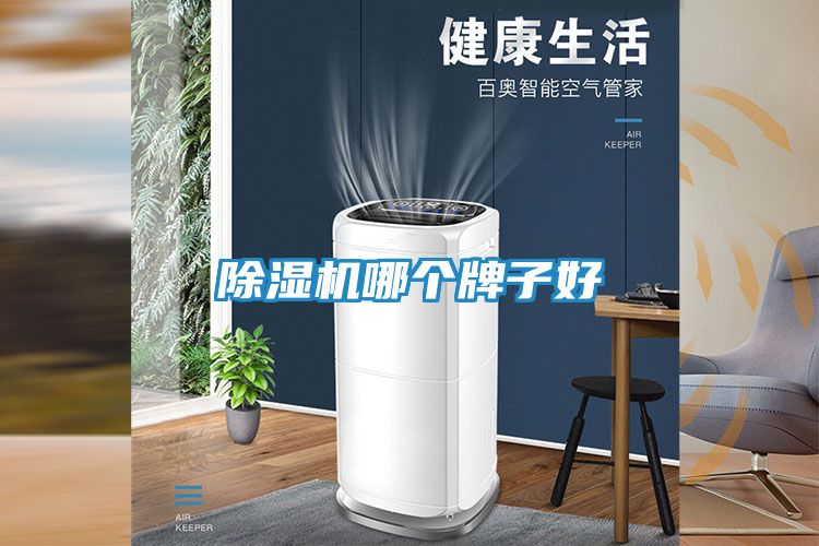 除湿机哪个牌子好