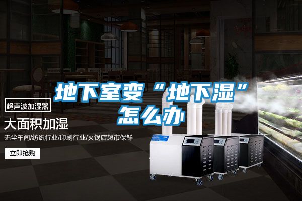 地下室变“地下湿”怎么办