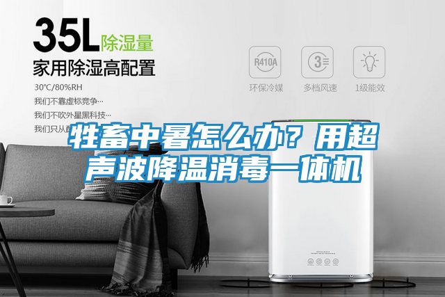 牲畜中暑怎么办？用超声波降温消毒一体机