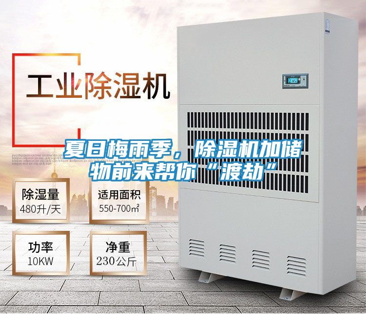 夏日梅雨季，除湿机加储物前来帮你“渡劫”
