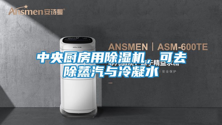 中央厨房用除湿机,可去除蒸汽与冷凝水