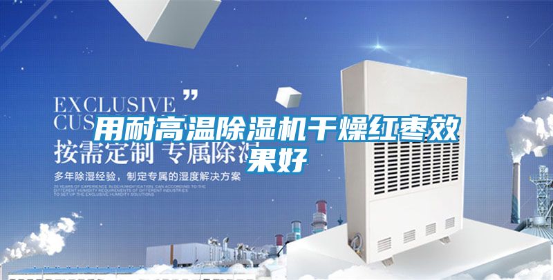 用耐高温除湿机干燥红枣效果好