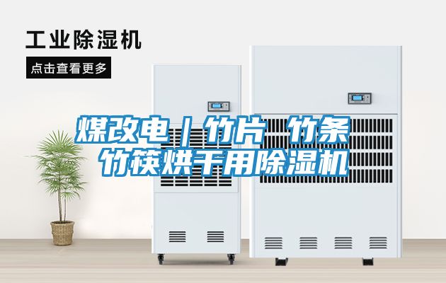 煤改电｜竹片 竹条 竹筷烘干用除湿机