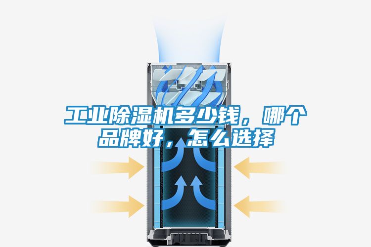 工业除湿机多少钱，哪个品牌好，怎么选择