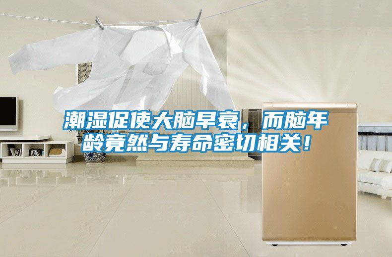 潮湿促使大脑早衰，而脑年龄竟然与寿命密切相关！