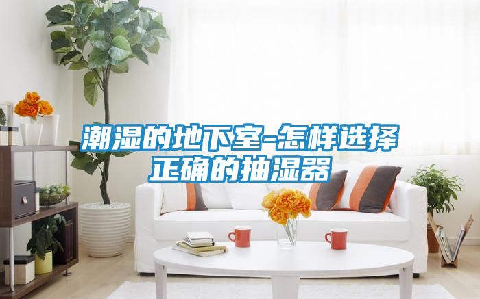 潮湿的地下室-怎样选择正确的抽湿器