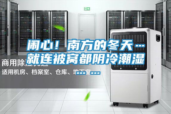 闹心！南方的冬天…就连被窝都阴冷潮湿……