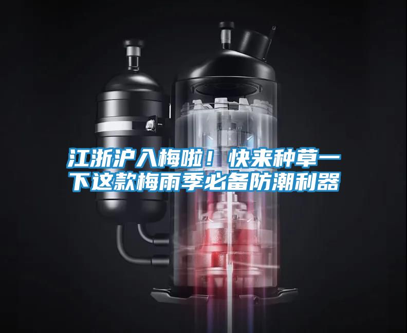 江浙沪入梅啦！快来种草一下这款梅雨季必备防潮利器