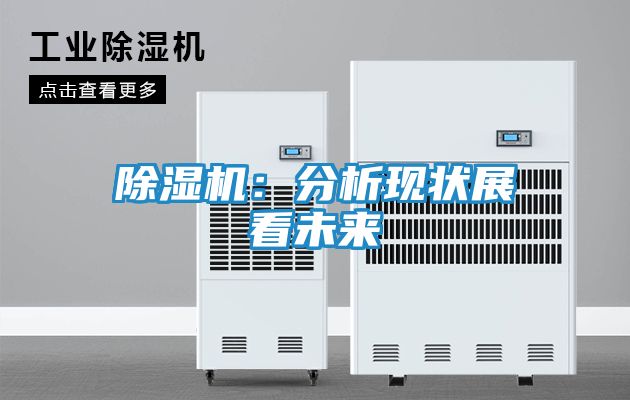 除湿机：分析现状展看未来