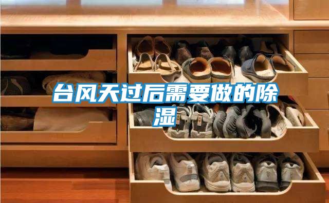 台风天过后需要做的除湿