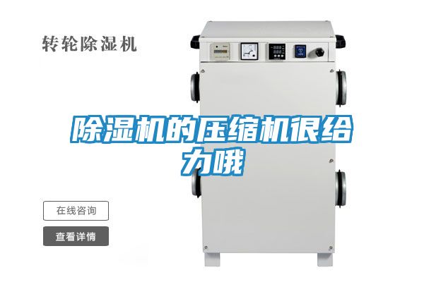 除湿机的压缩机很给力哦
