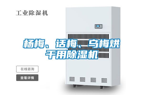 杨梅、话梅、乌梅烘干用除湿机