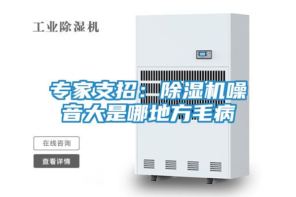 专家支招：除湿机噪音大是哪地方毛病