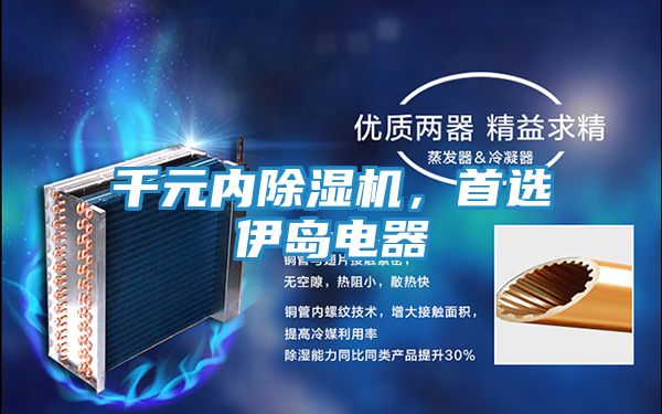 千元内除湿机,首选伊岛电器