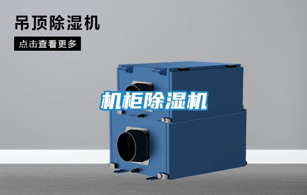 机柜除湿机