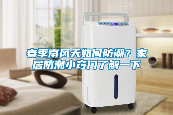 春季南风天如何防潮？家居防潮小窍门了解一下