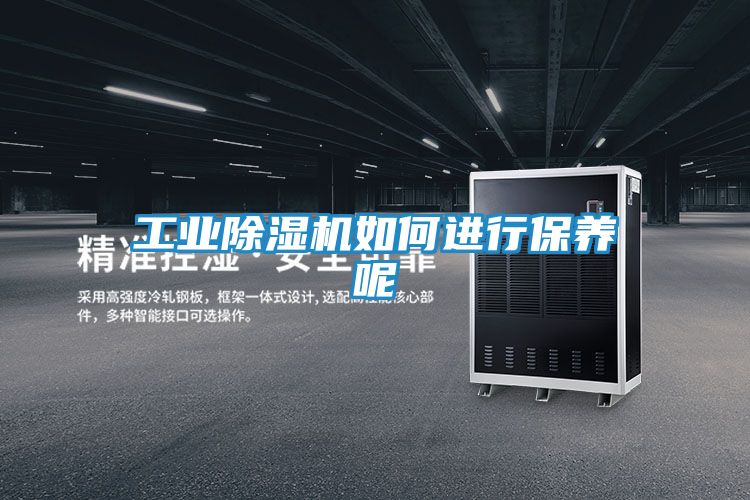 工业除湿机如何进行保养呢