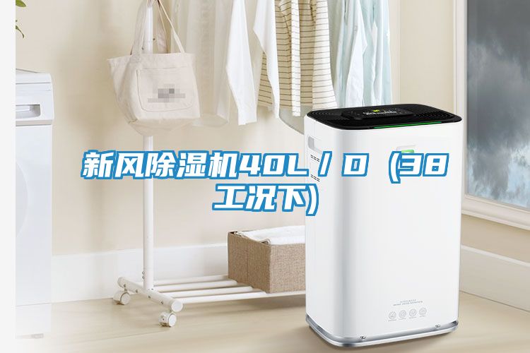 新风除湿机40L/D (38工况下)