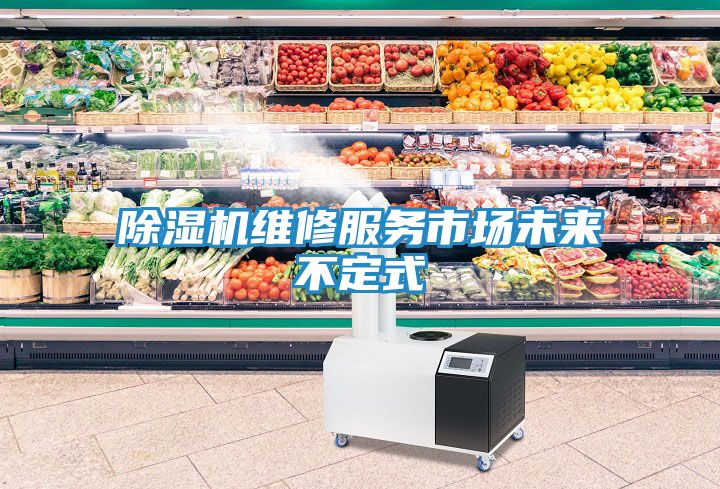 除湿机维修服务市场未来不定式