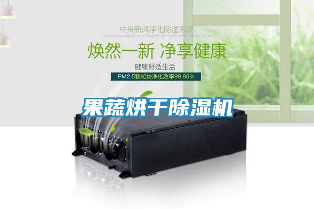 果蔬烘干除湿机