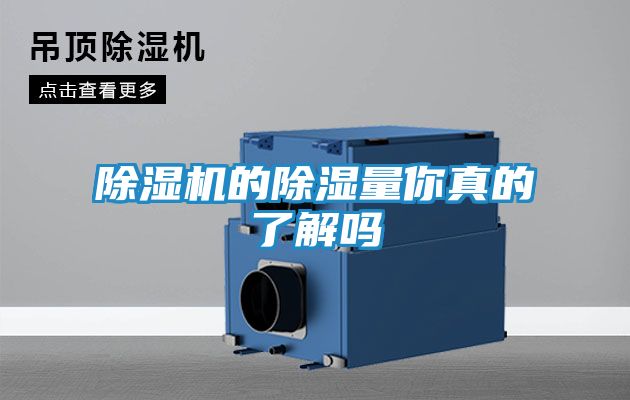 除湿机的除湿量你真的了解吗