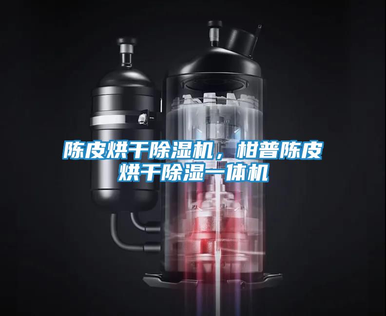 陈皮烘干除湿机，柑普陈皮烘干除湿一体机