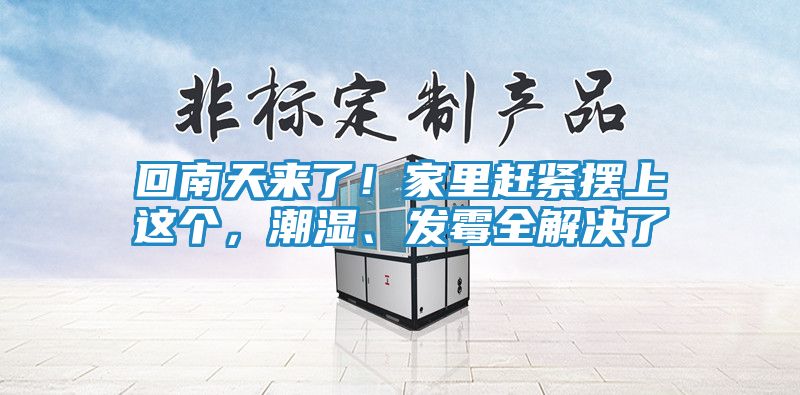 回南天来了！家里赶紧摆上这个，潮湿、发霉全解决了