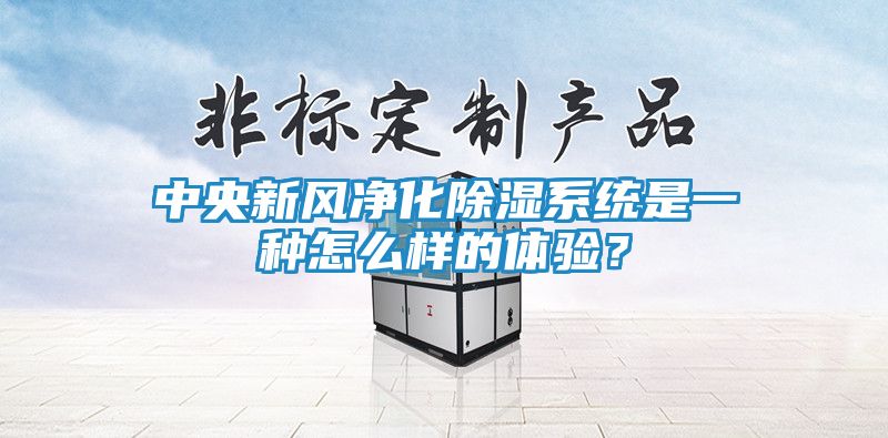 中央新风净化除湿系统是一种怎么样的体验？