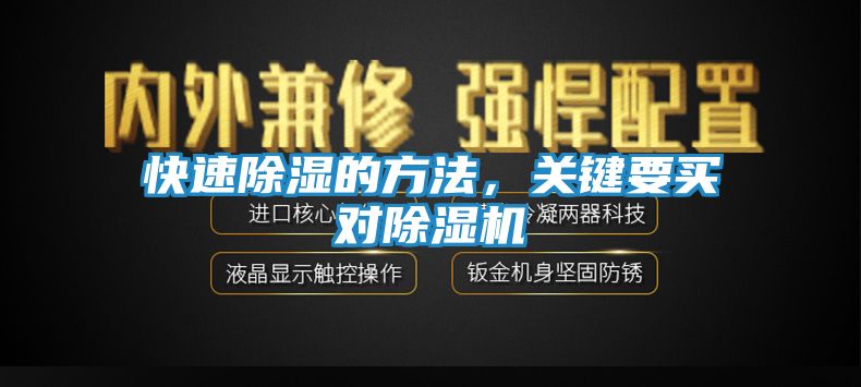 快速除湿的方法,关键要买对除湿机