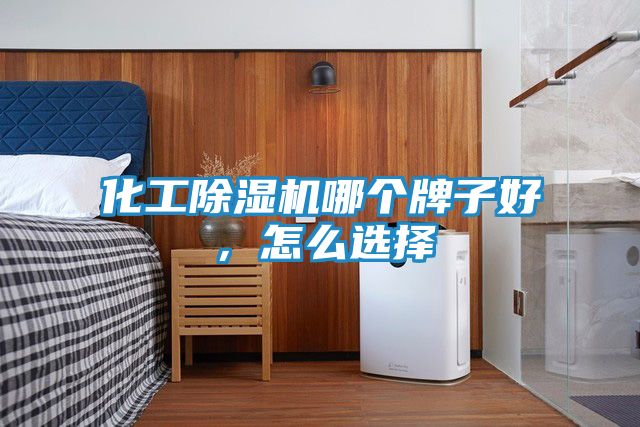 化工除湿机哪个牌子好，怎么选择