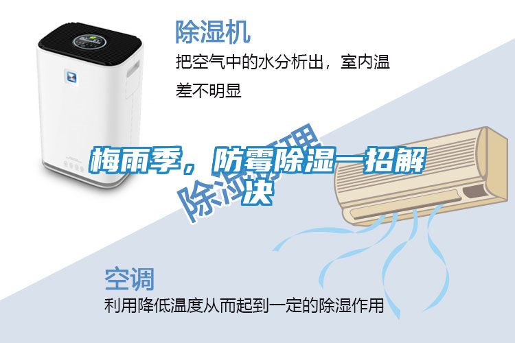 梅雨季，防霉除湿一招解决
