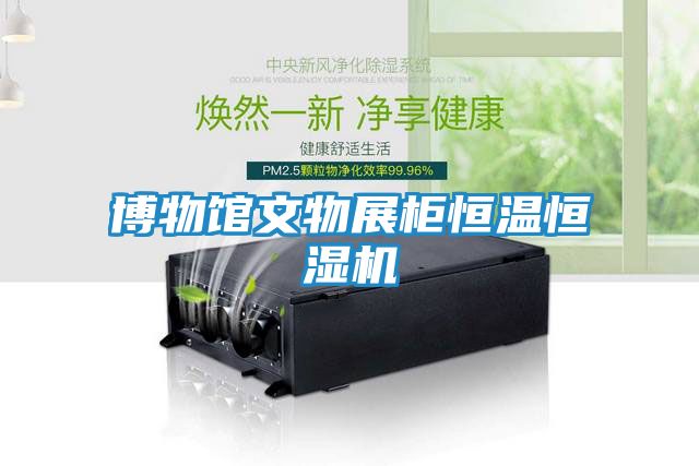 博物馆文物展柜恒温恒湿机