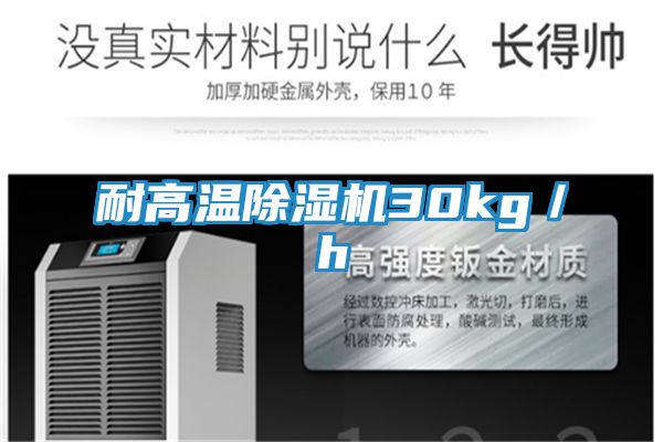 耐高温除湿机30kg／h