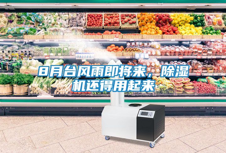 8月台风雨即将来，除湿机还得用起来