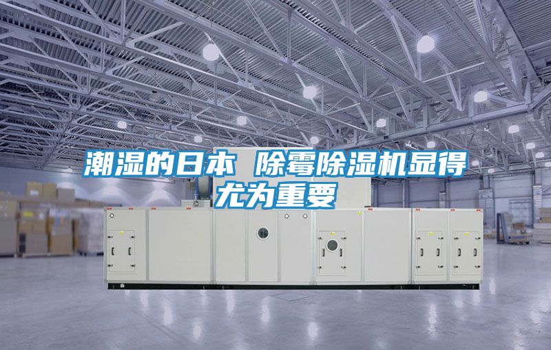 潮湿的日本 除霉除湿机显得尤为重要