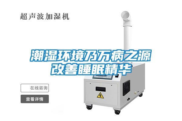 潮湿环境乃万病之源改善睡眠精华