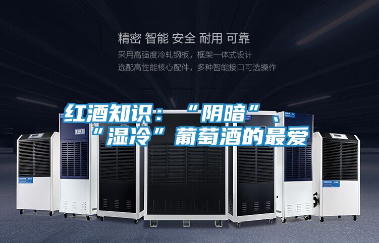 红酒知识:“阴暗”、“湿冷”葡萄酒的最爱