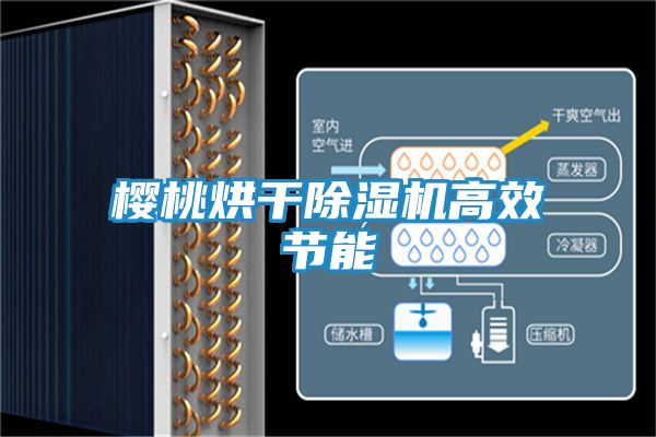 樱桃烘干除湿机高效节能
